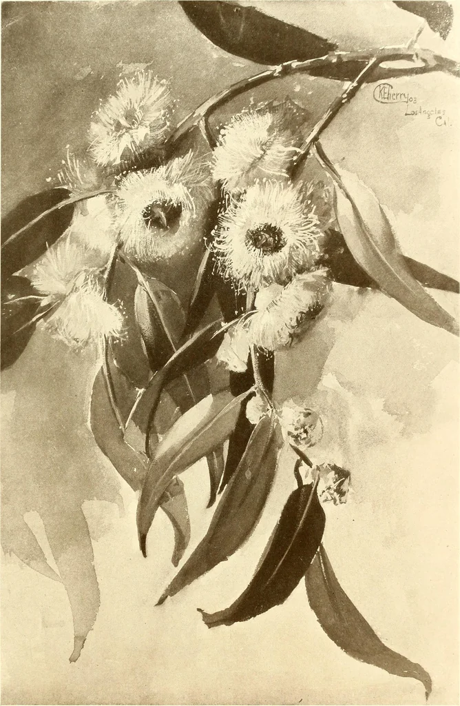 An illustration from Keramic studio, 1899, leaf 306