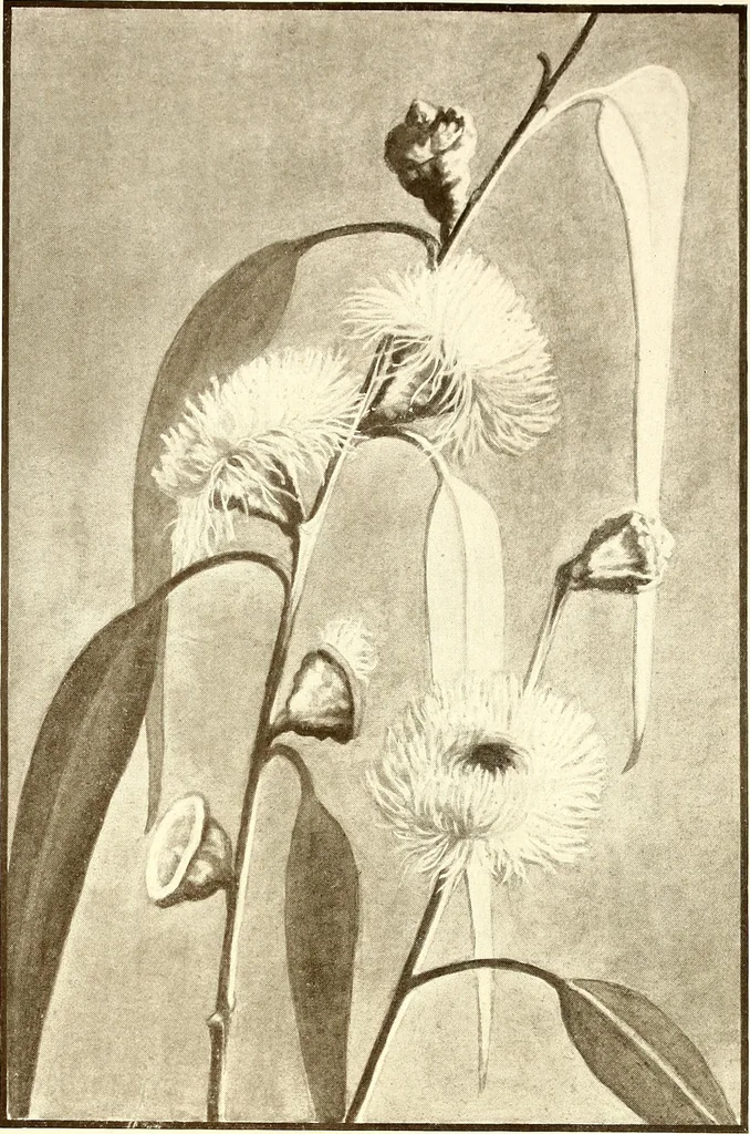 An illustration from Keramic studio, 1899, leaf 313