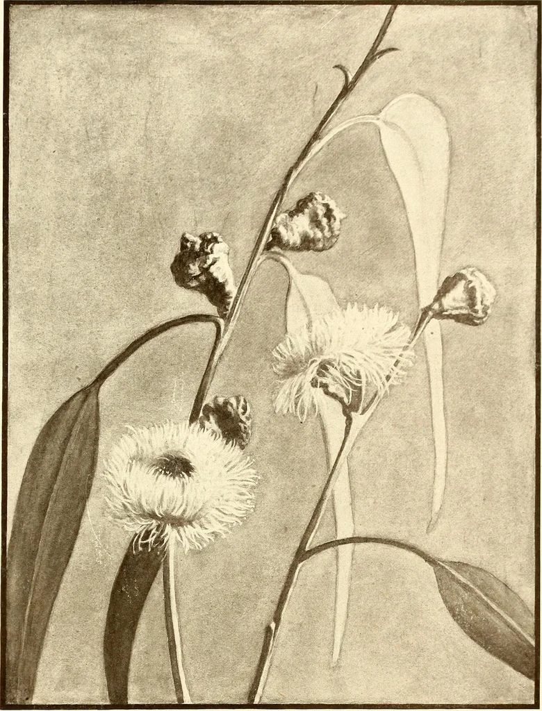 An illustration from Keramic studio, 1899, leaf 314