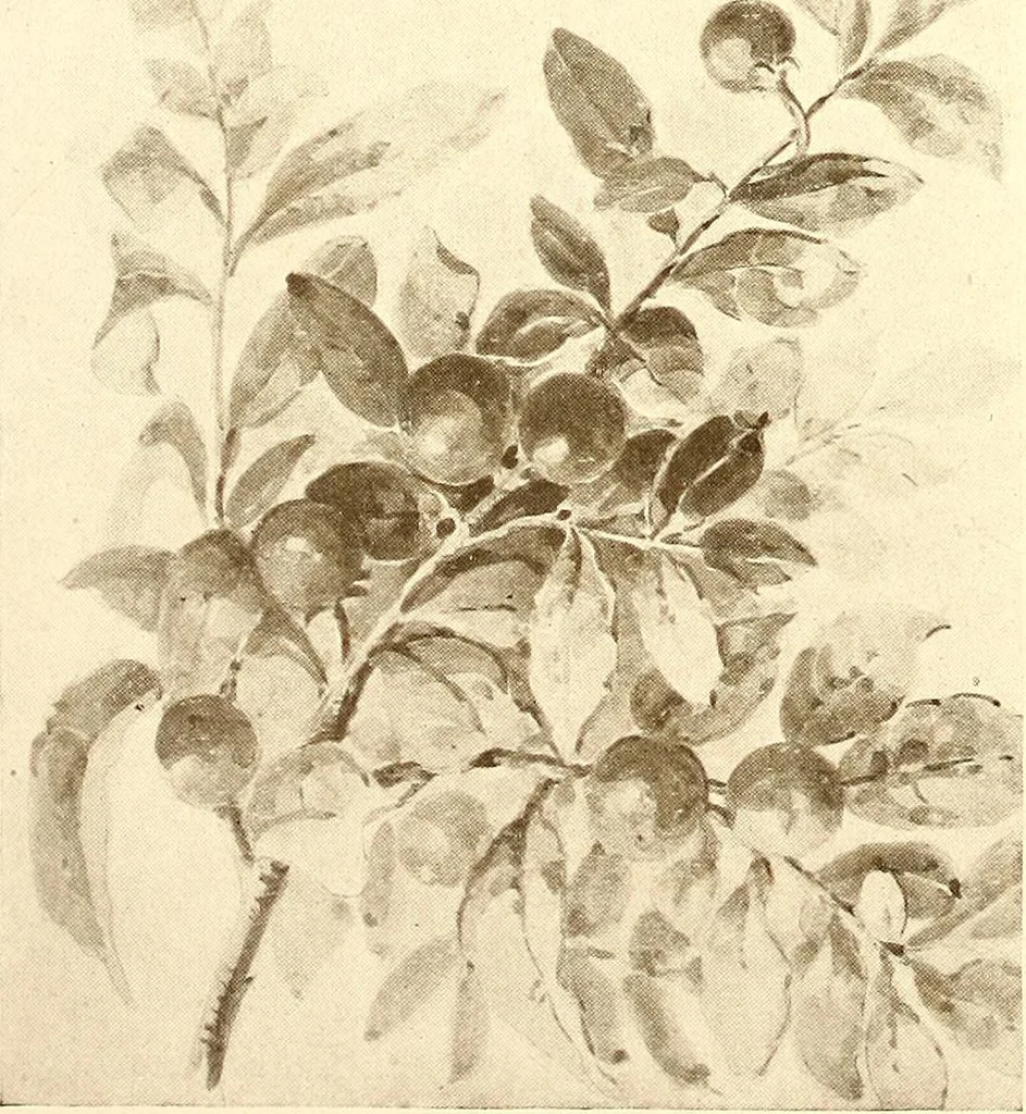 An illustration from Keramic studio, 1899, leaf 315