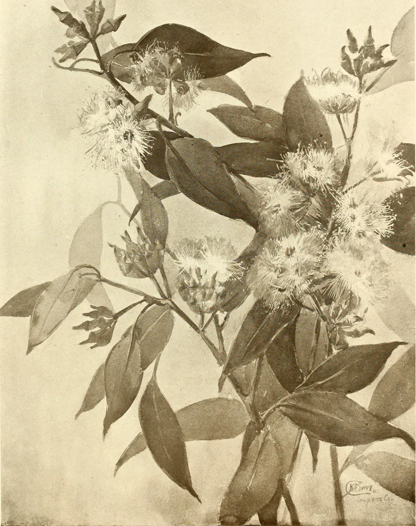 An illustration from Keramic studio, 1899, leaf 320