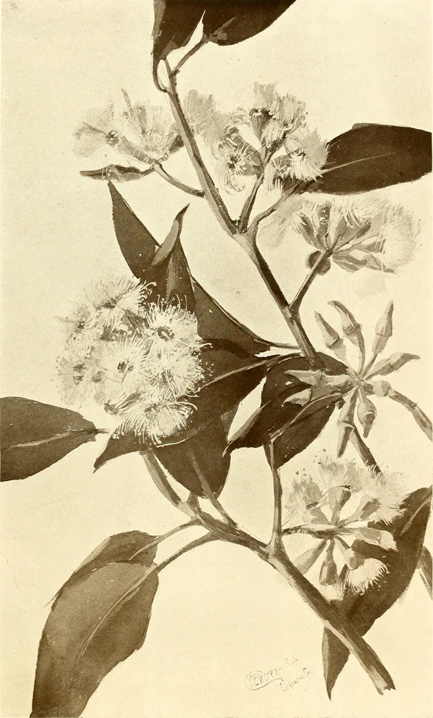 An illustration from Keramic studio, 1899, leaf 322