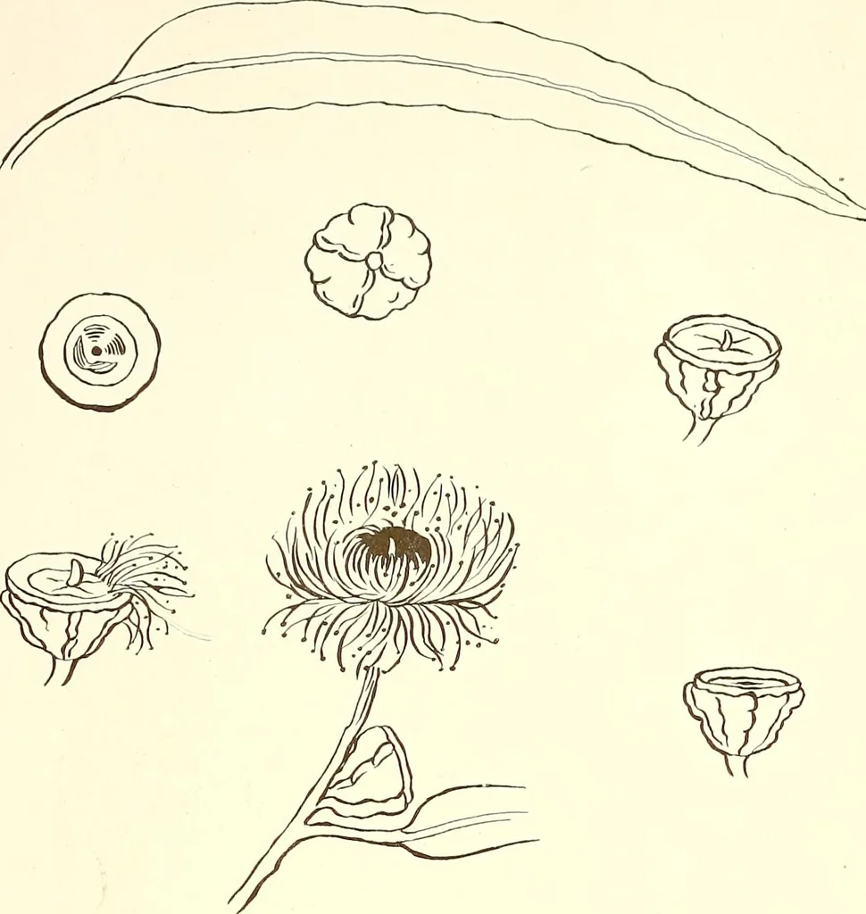 An illustration from Keramic studio, 1899, leaf 325