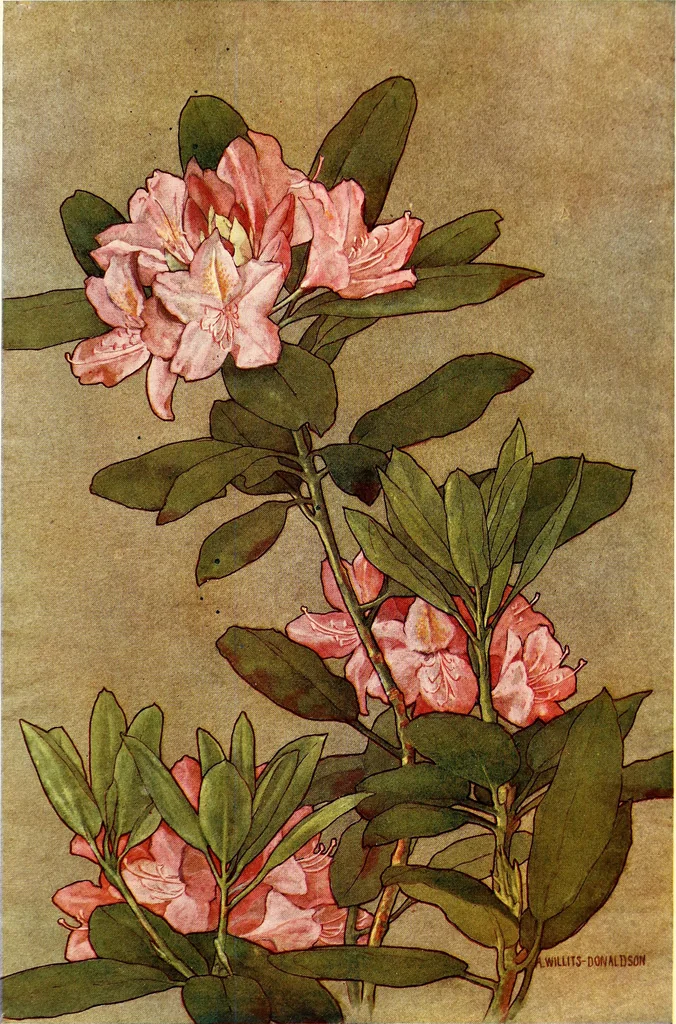 An illustration from Keramic studio, 1899, leaf 326