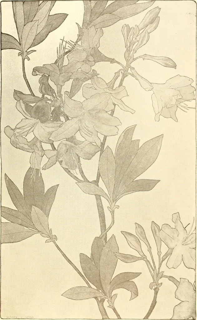 An illustration from Keramic studio, 1899, leaf 348
