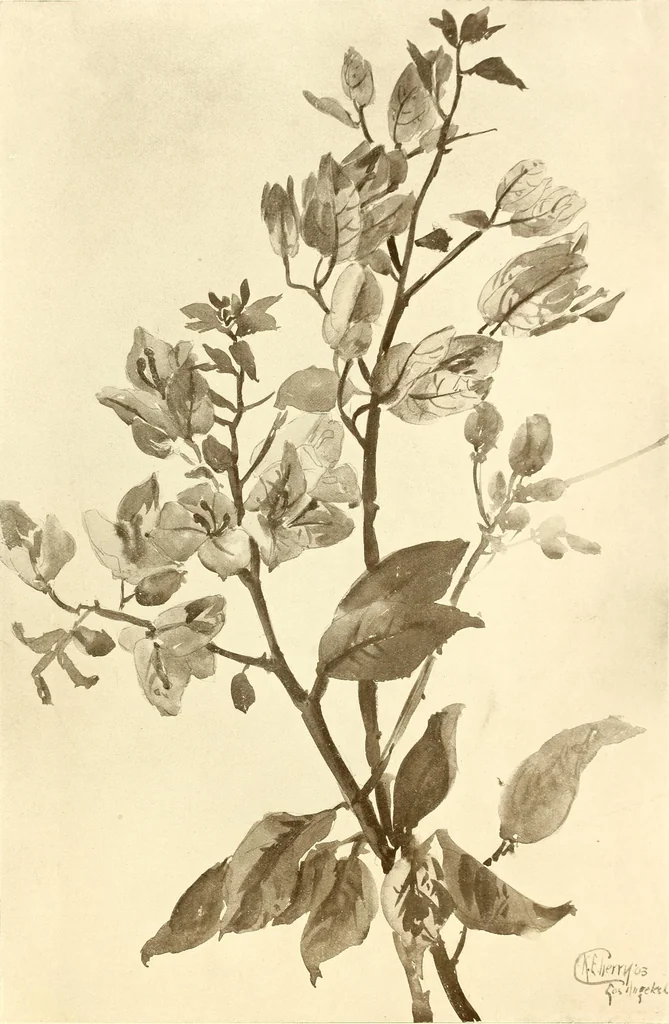 An illustration from Keramic studio, 1899, leaf 350