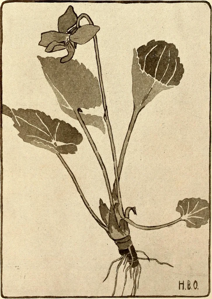 An illustration from Keramic studio, 1899, leaf 43