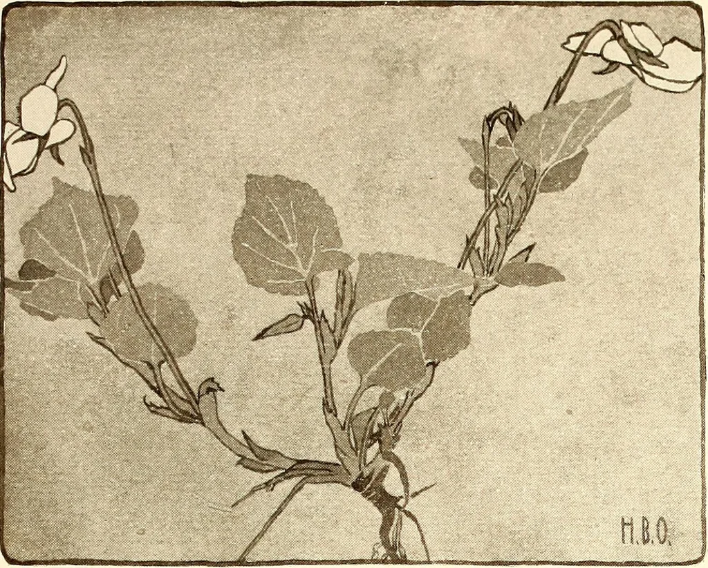 An illustration from Keramic studio, 1899, leaf 47
