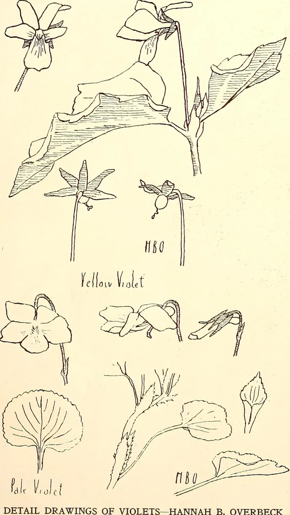 An illustration from Keramic studio, 1899, leaf 53