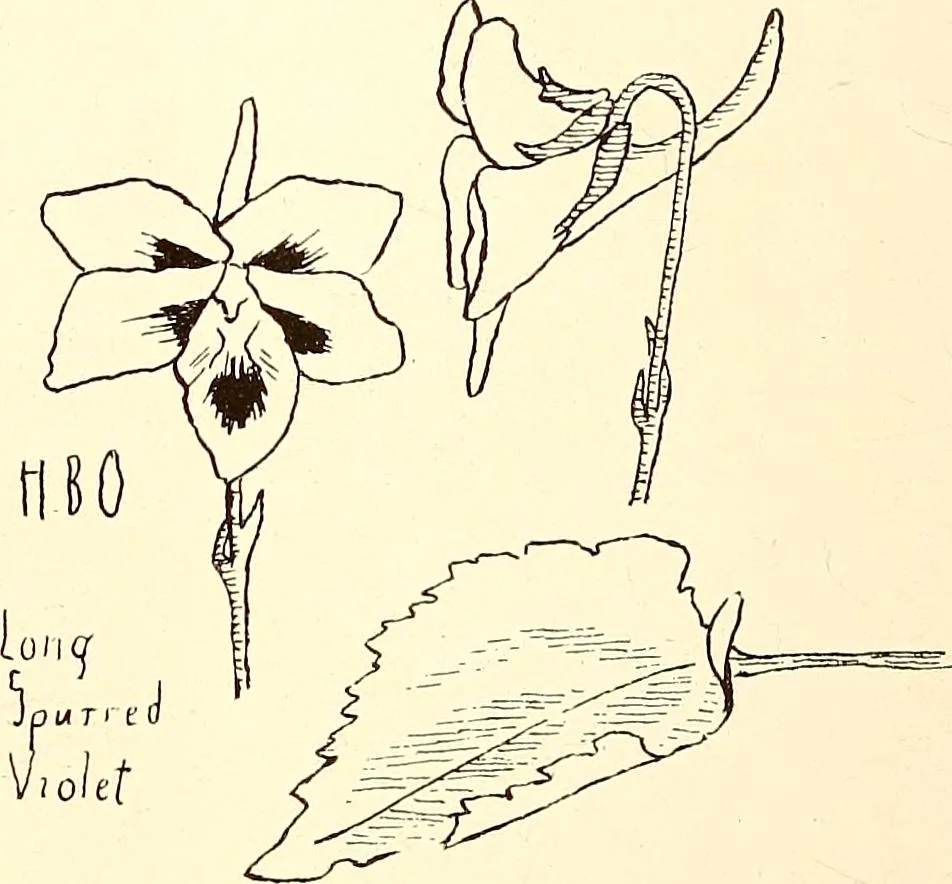 An illustration from Keramic studio, 1899, leaf 53