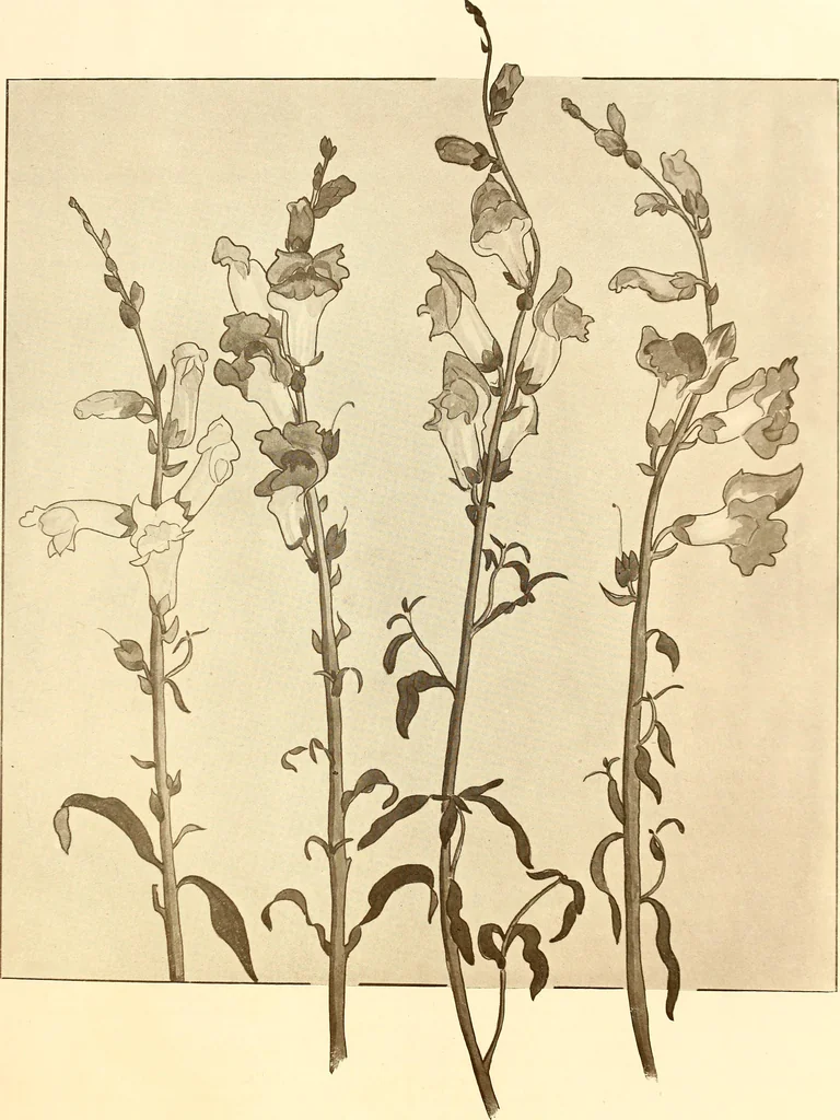 An illustration from Keramic studio, 1899, leaf 56
