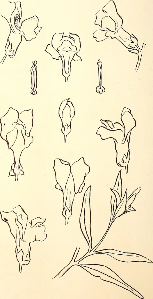 An illustration from Keramic studio, 1899, leaf 57