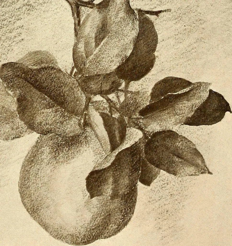 An illustration from Keramic studio, 1899, leaf 61