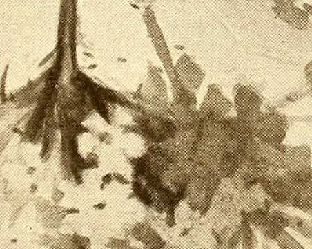 An illustration from Keramic studio, 1899, leaf 88
