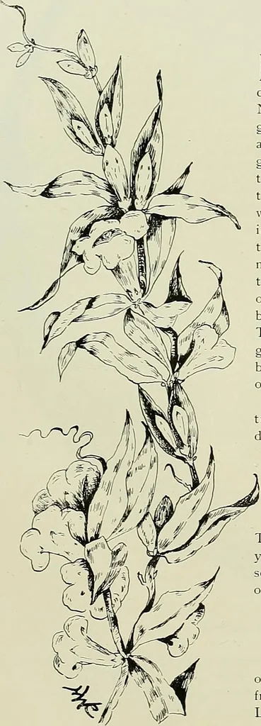 An illustration from Keramic studio, 1899, leaf 106
