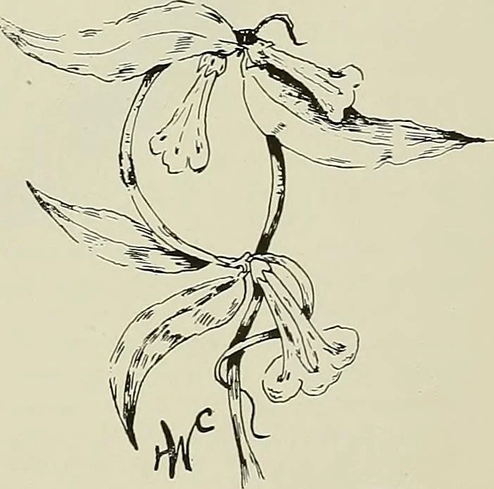 An illustration from Keramic studio, 1899, leaf 106