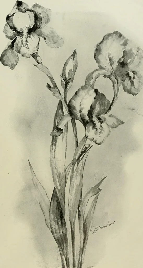 An illustration from Keramic studio, 1899, leaf 186