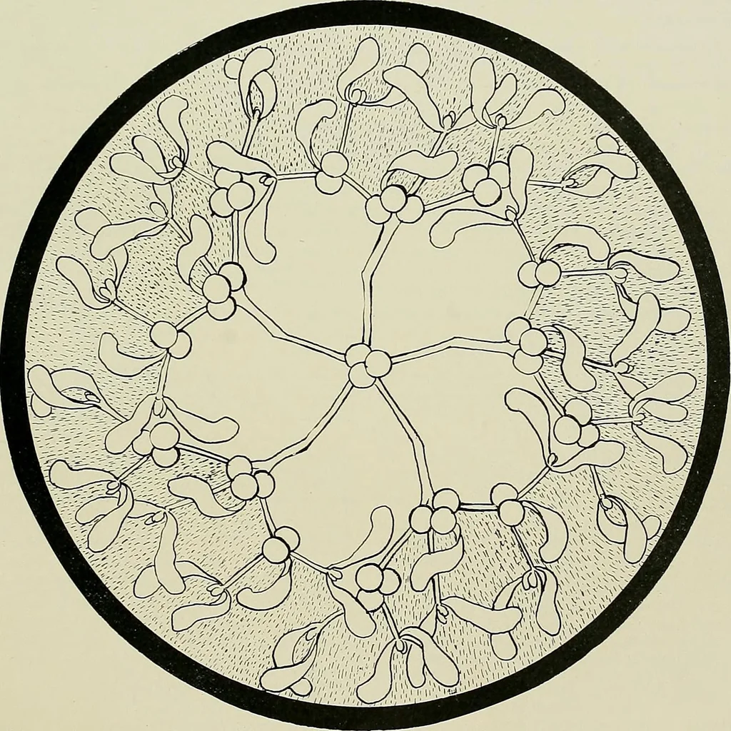 An illustration from Keramic studio, 1899, leaf 222