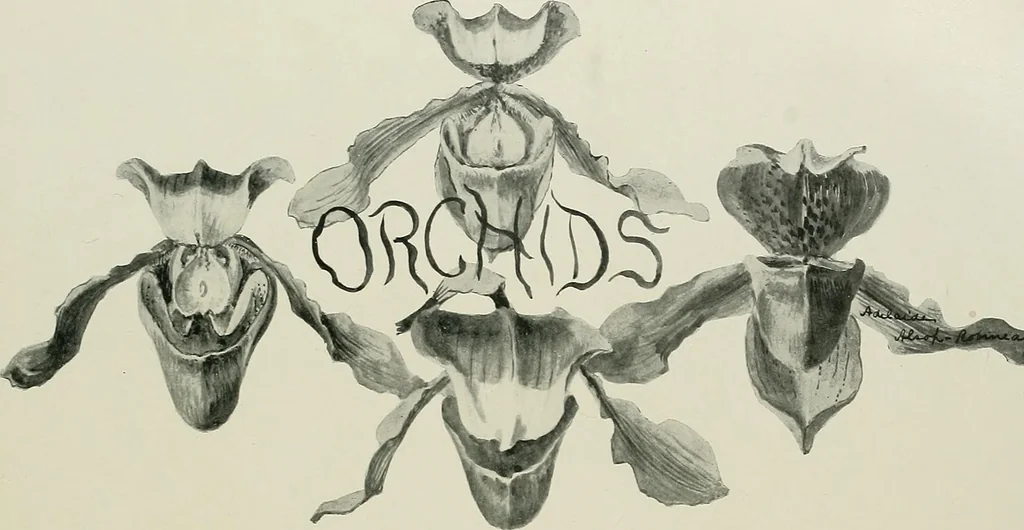 An illustration from Keramic studio, 1899, leaf 272