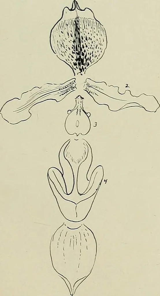 An illustration from Keramic studio, 1899, leaf 272