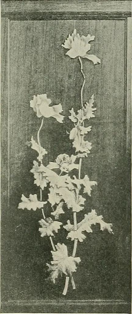 An illustration from Keramic studio, 1899, leaf 322