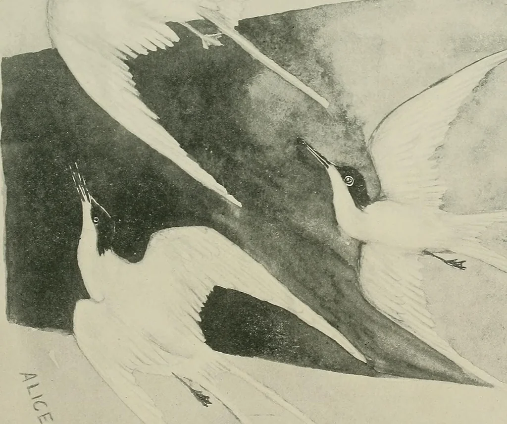 An illustration from Keramic studio, 1899, leaf 330