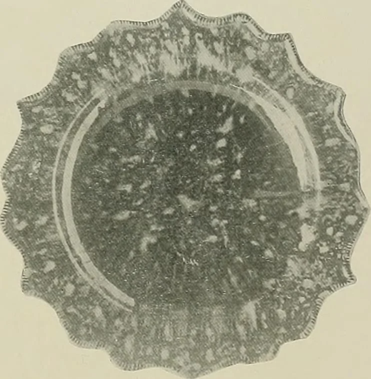 An illustration from Keramic studio, 1899, leaf 332
