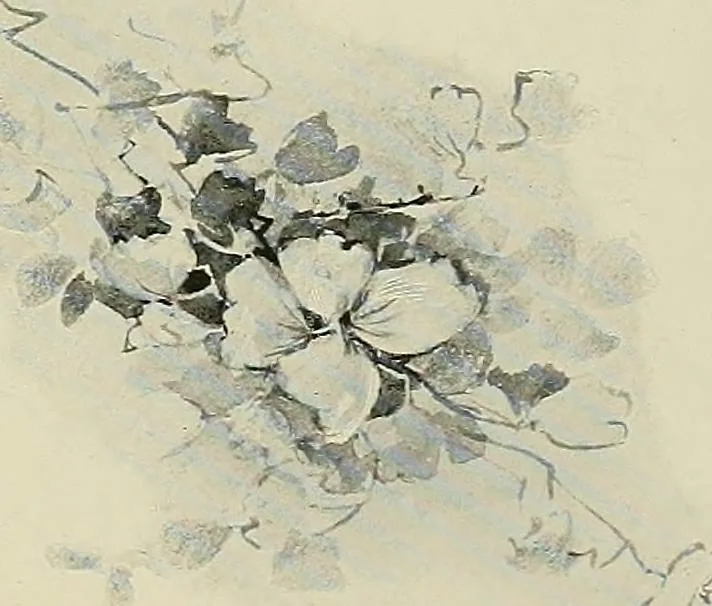 An illustration from Keramic studio, 1899, leaf 58