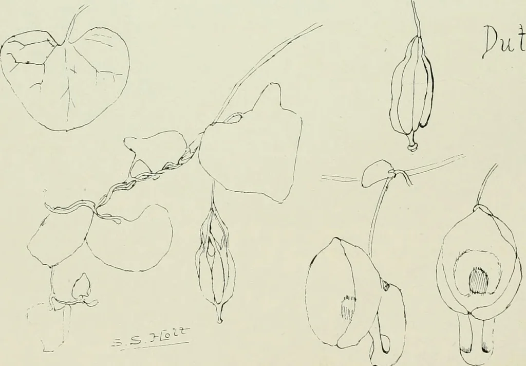 An illustration from Keramic studio, 1899, leaf 83