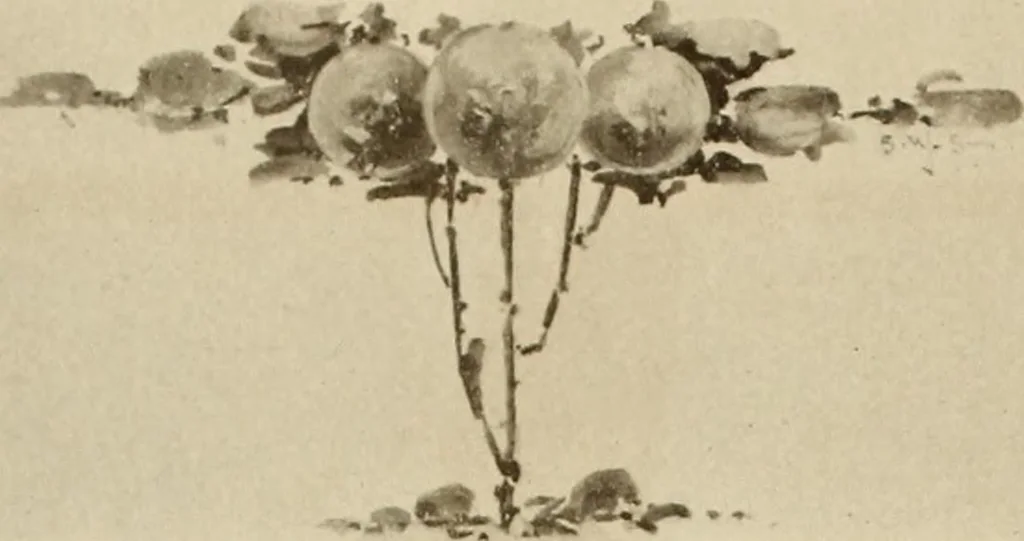An illustration from Keramic studio, 1899, leaf 13