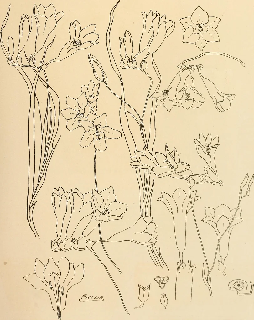 An illustration from Keramic studio, 1899, leaf 136
