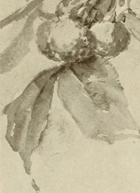 An illustration from Keramic studio, 1899, leaf 163