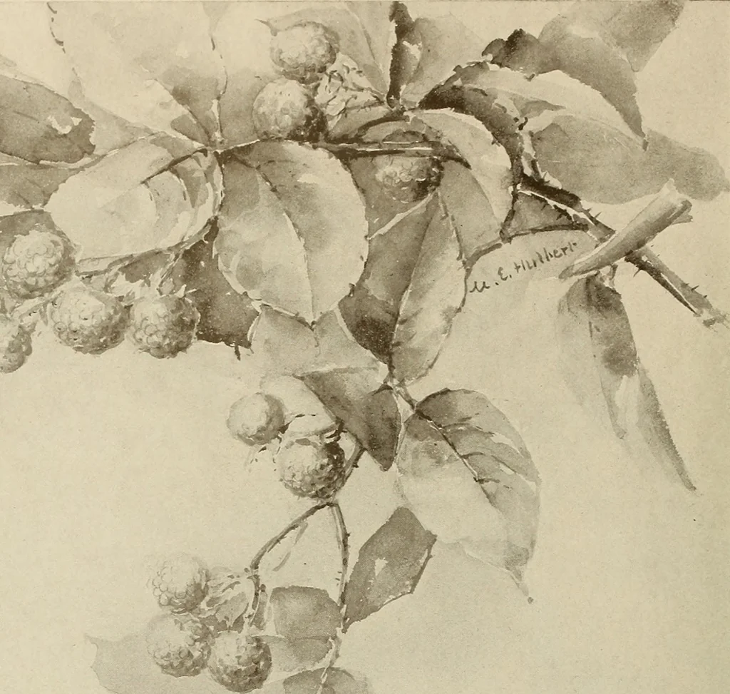 An illustration from Keramic studio, 1899, leaf 163
