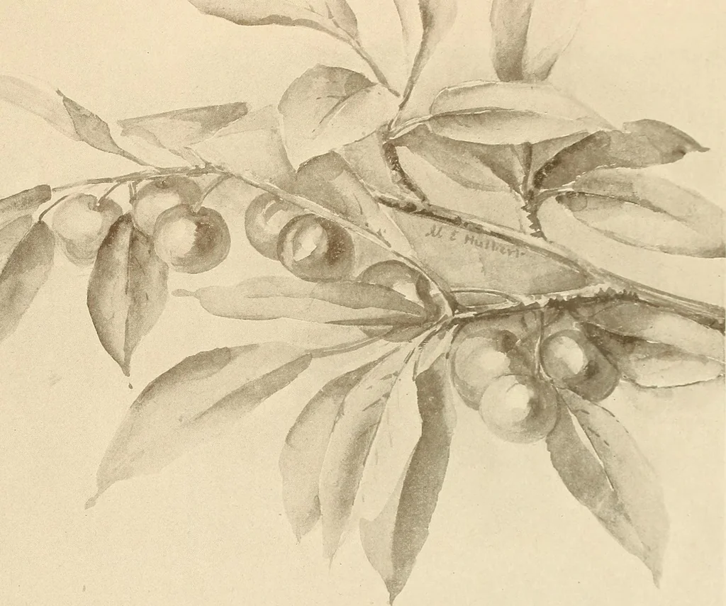 An illustration from Keramic studio, 1899, leaf 164