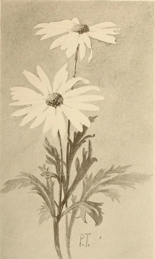 An illustration from Keramic studio, 1899, leaf 170