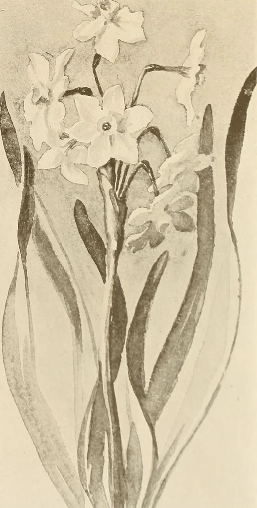 An illustration from Keramic studio, 1899, leaf 170