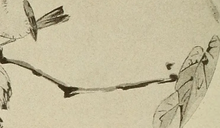 An illustration from Keramic studio, 1899, leaf 191