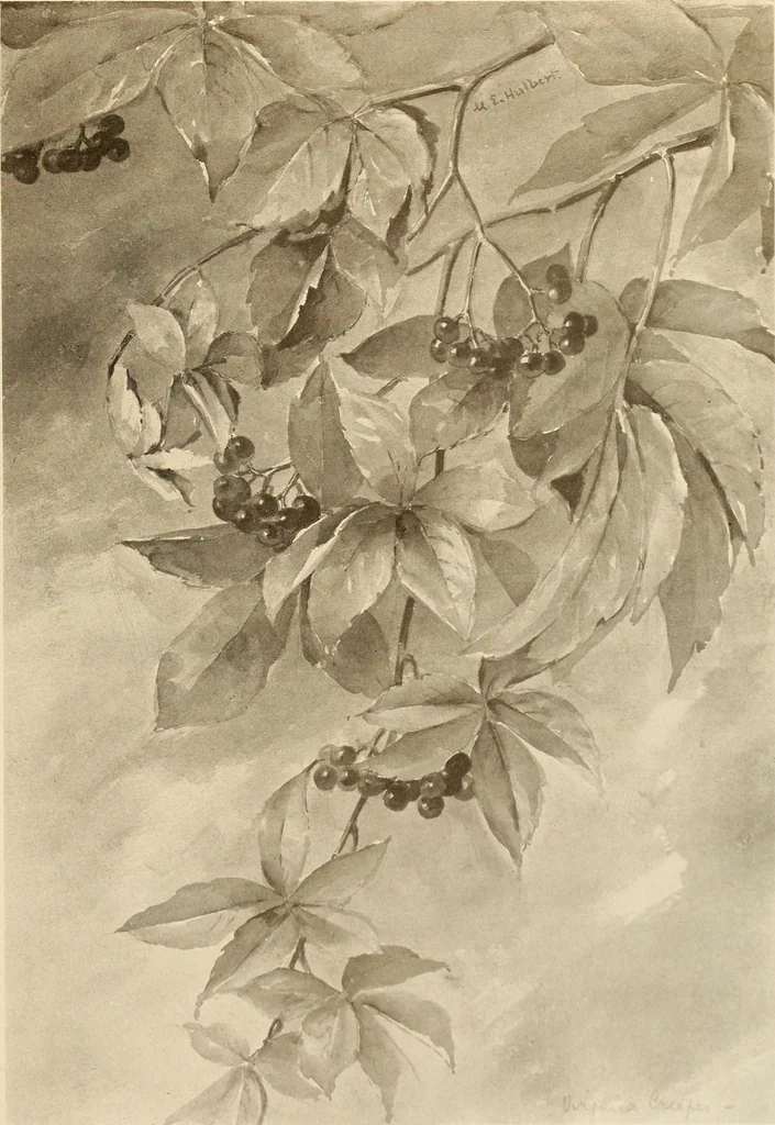 An illustration from Keramic studio, 1899, leaf 198