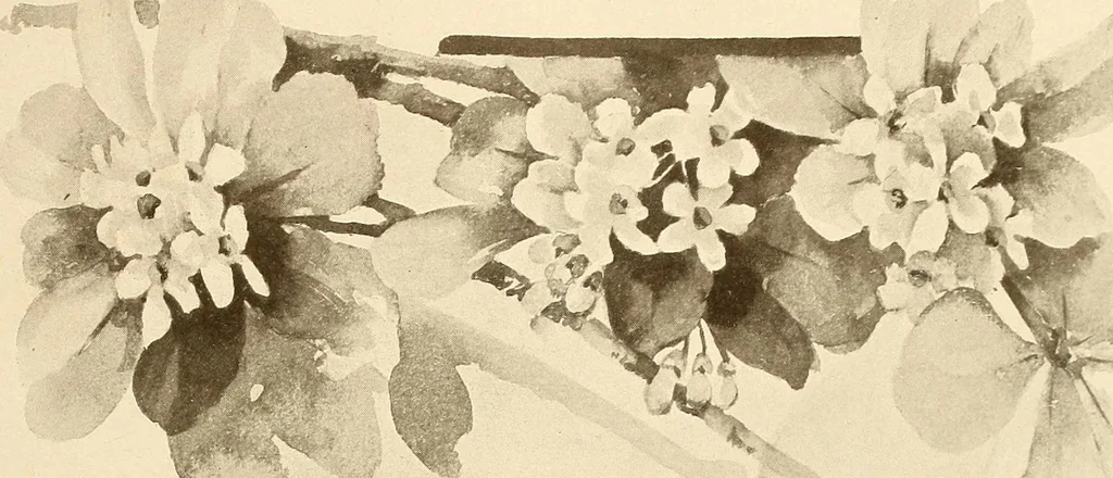An illustration from Keramic studio, 1899, leaf 200