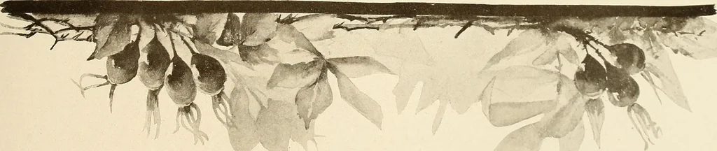 An illustration from Keramic studio, 1899, leaf 200