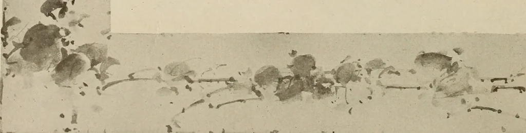 An illustration from Keramic studio, 1899, leaf 215