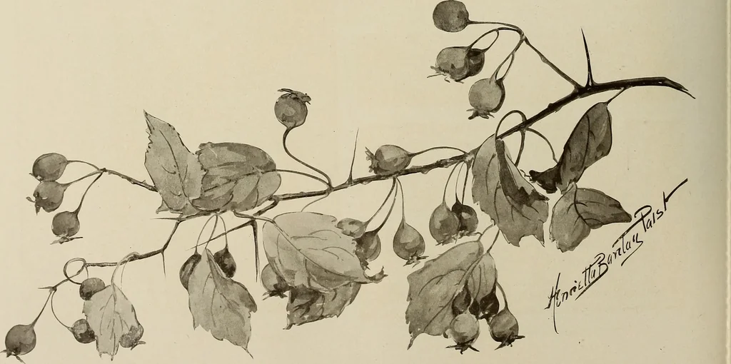 An illustration from Keramic studio, 1899, leaf 225