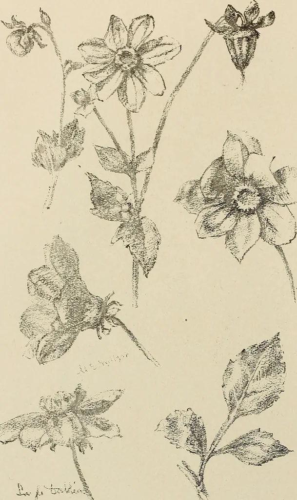 An illustration from Keramic studio, 1899, leaf 239