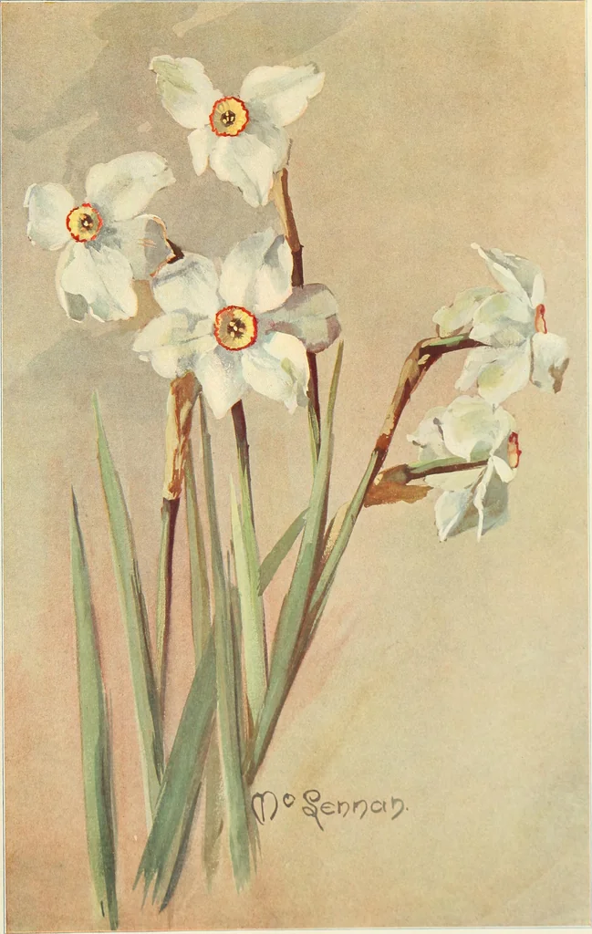 An illustration from Keramic studio, 1899, leaf 240