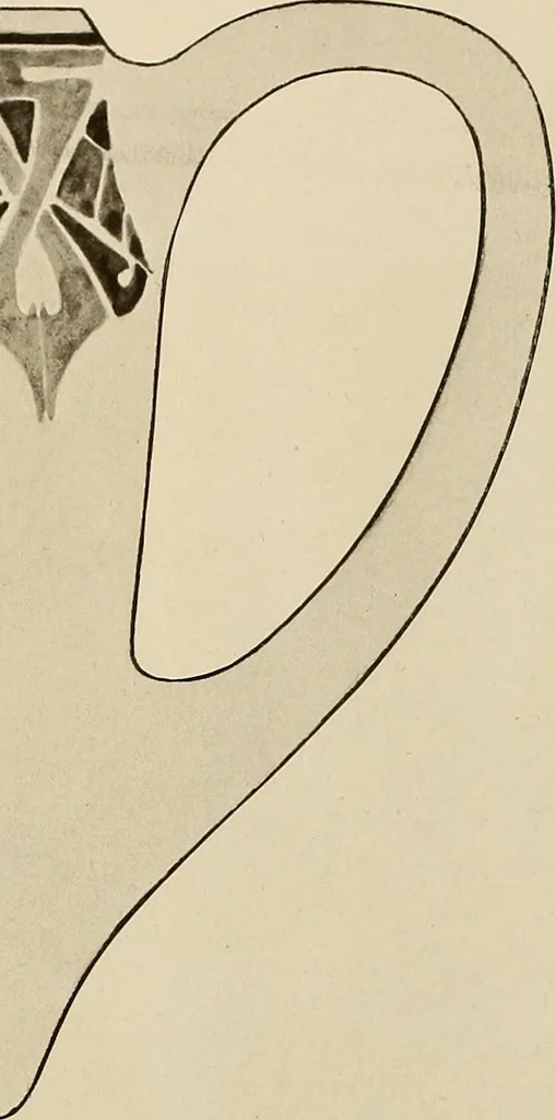 An illustration from Keramic studio, 1899, leaf 243