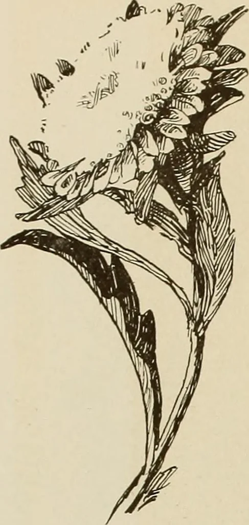 An illustration from Keramic studio, 1899, leaf 249