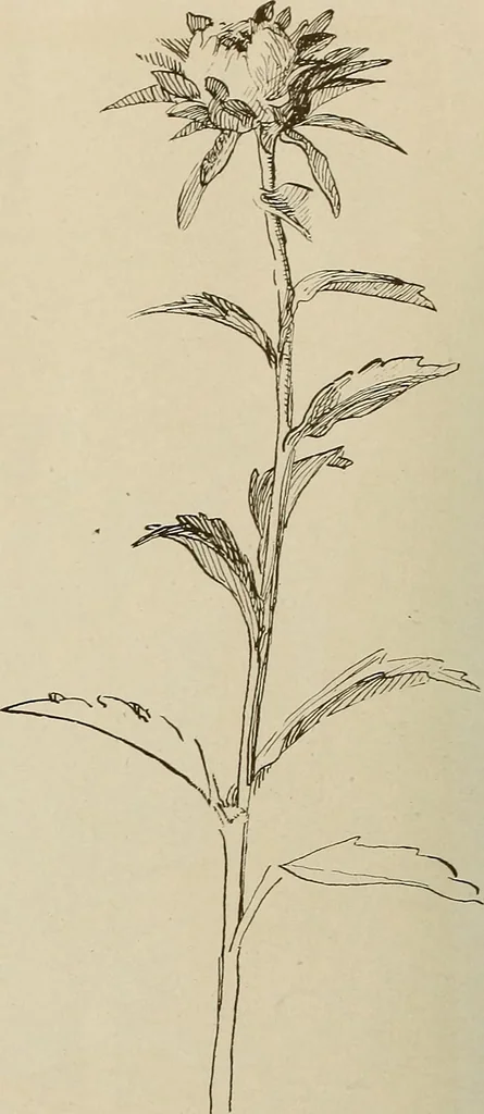 An illustration from Keramic studio, 1899, leaf 249