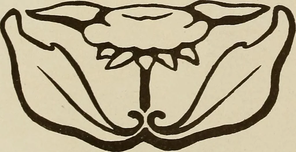 An illustration from Keramic studio, 1899, leaf 249