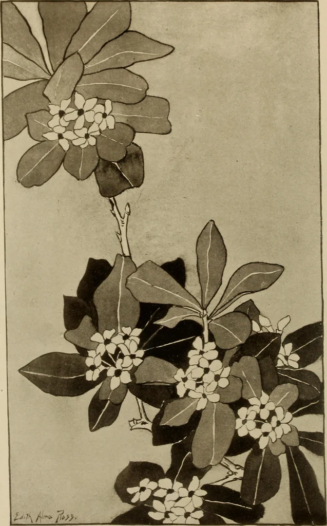 An illustration from Keramic studio, 1899, leaf 25