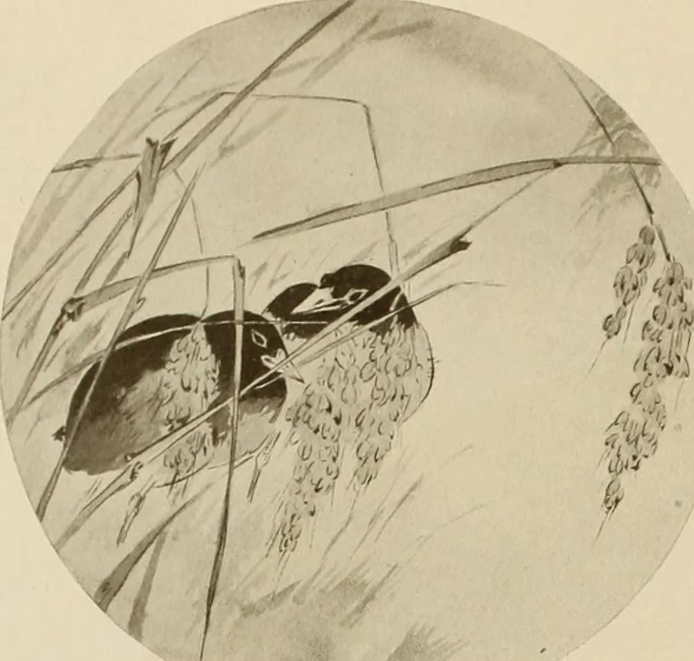An illustration from Keramic studio, 1899, leaf 251